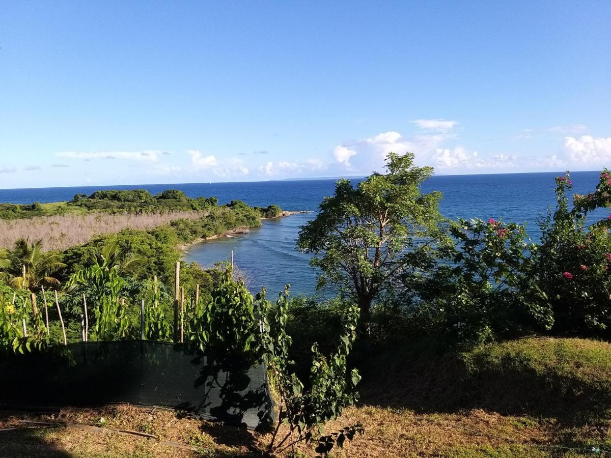Sympa Aquaverde entre mer et campagne Le Gosier  Extérieur photo